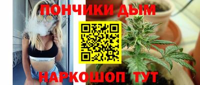 гашик Малоярославец