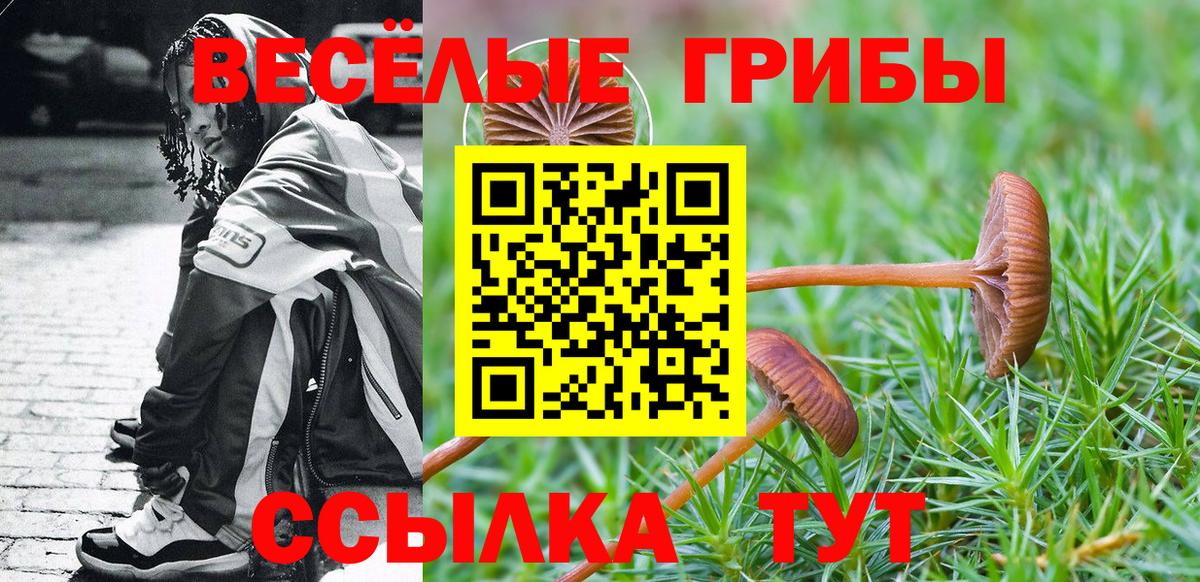 Чайковский  купить наркотики сайты  Вход с VPN  Галлюциногенные грибы Psilocybe 